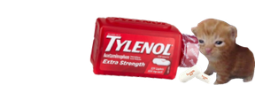 tylenolbert emote