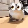 LetsTakealook emote