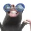 ligMole2