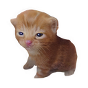 :)