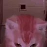 Aura emote
