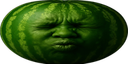 wideSpeedWatermelon