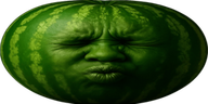 wideSpeedWatermelon emote