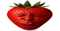 wideSpeedStrawberry