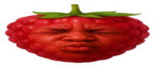 wideSpeedRaspberry emote