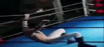 wideKaysanBounce emote