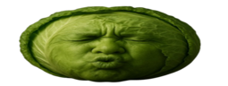 wideSpeedCabbage emote