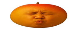 wideSpeedMango emote