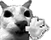 dosehiii