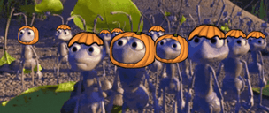 ants