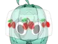 GAMBAGAMBA