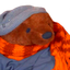 Paulbaer