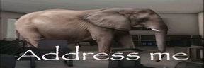 AddressMe emote