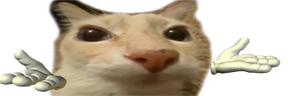 catshrug emote