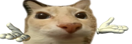idk
