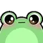 FroggyStare