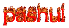 pashul emote