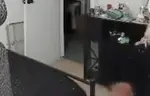 mapleLeave emote