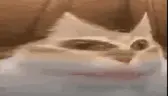 mmr emote