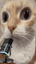uuhmic