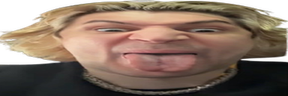 xqcBleh emote