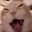 Wajaja