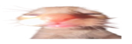 wideuuhhguasdhasdhghuuuuhuubu