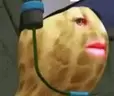 PeanutSideEye emote