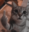CatMiddleFinger