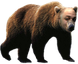 emoneyBear