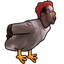 sjjChicken