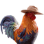 cock