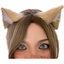 leonLurk