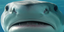 ((