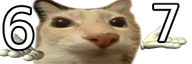 67