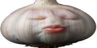 wideSpeedGarlic emote