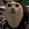 awawa emote