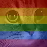 pridemeow emote