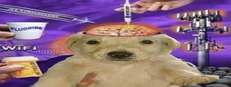 dopamine emote