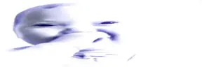 wideOhShi emote