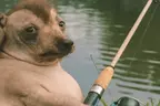 creatureFishing emote