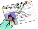 FührerscheiN emote