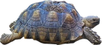 PushPlopped