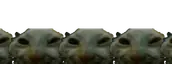 xddCongaL