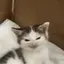 plotting