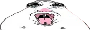 hapy emote