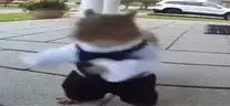 belka emote