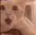 cat shock