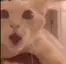 OMG