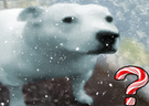 ???? emote